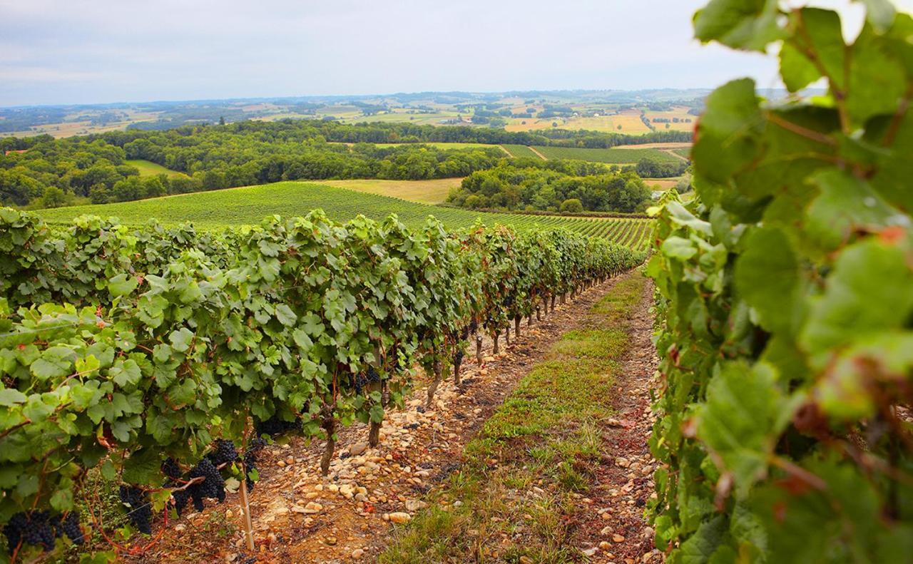 Gite, Jacuzzi & Vin Au Grenier De Madiran Exterior foto